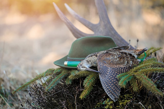 Jagd & Gesellschaft