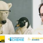Summer Lab „Eiszeit“ | spotting science