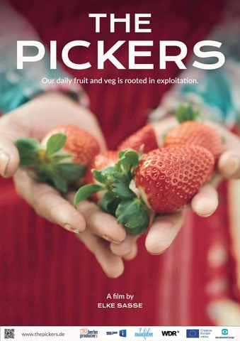 THE PICKERS - Bittere Früchte
