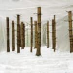 Markus Guschlbauer | plastic nature