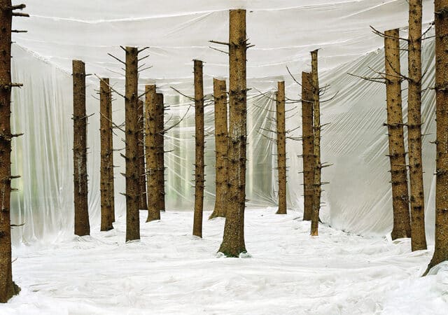 Markus Guschlbauer | plastic nature