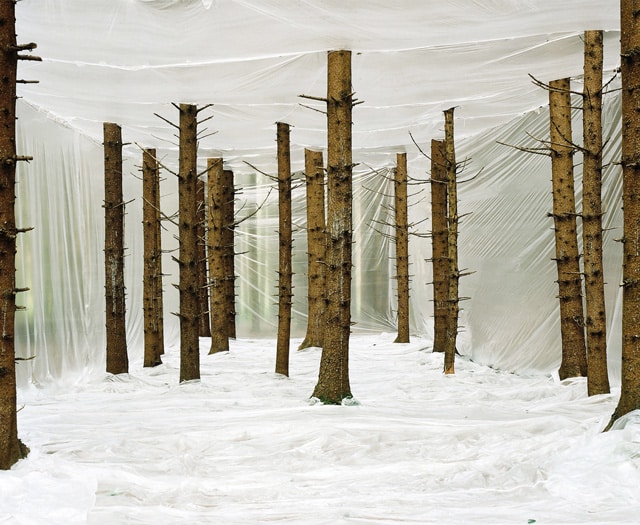 Markus Guschlbauer | plastic nature
